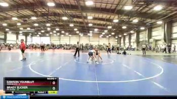 96 lbs Round 4 (6 Team) - Dawson Younblut, Iowa Black vs Brady Slicker, PA Silver