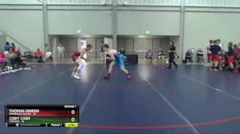 195 lbs Round 1 (8 Team) - Thomas Dineen, Minnesota Silver vs Cody Cash, Virginia