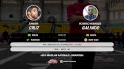 Danver Cruz vs Rodrigo Henrique Galindo 2025 ADCC Brazilian Nationals
