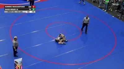103 lbs Consi Of 32 #2 - Dominic Masciantonio, Central Bucks South vs David Wehry III, Tri Valley