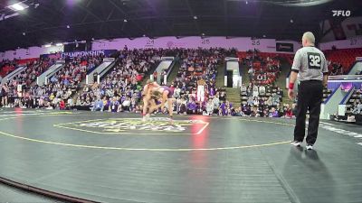 132 lbs Semifinals (8 Team) - Jason Downs, Huron HS (New Boston) vs Connor Stankov, Fowlerville HS