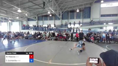 116 kg Quarterfinal - Miyah Palacios, Xcess Wrestling vs Chelsey Quintanilla, Arroyo HS