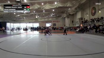 197 lbs Quarterfinal - Lorenzo Pellot-Vzquez, Roanoke College vs Isaiah Manning, Greensboro
