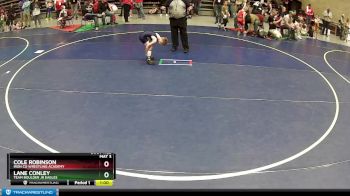 58 lbs Quarterfinal - Cole Robinson, Iron Co Wrestling Academy vs Lane Conley, Team Boulder Jr Eagles