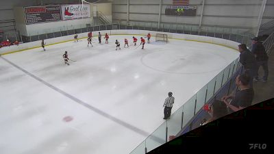Replay: Home - 2025 WC Swans Gold vs Boston Lady Whalers U14 | Jun 8 @ 9 AM