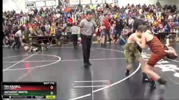 119 lbs Quarterfinal - Tim Krabill, West Liberty vs Anthony Watts, Mechanicsburg