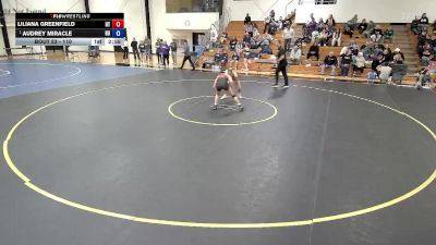 110 lbs Round 3 - Audrey Miracle, Heidelberg vs Liliana Greenfield, Indiana Tech