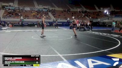 D2-113 lbs Cons. Round 2 - Nicholas Marchese, Horizon vs Michael Lininger, Desert Mountain