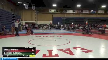 138 lbs Champ. Round 2 - Tucker Trevino, Mesa Ridge vs Dominick Cuccinelli, Colorado Springs Christian School