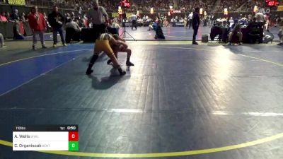 110 lbs Round Of 16 - Adam Wells, Wyalusing vs Cole Organiscak, Bentworth