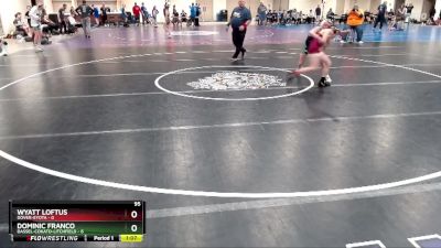 95 lbs Quarterfinals (8 Team) - Dominic Franco, Dassel-Cokato-Litchfield vs Wyatt Loftus, Dover-Eyota