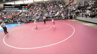 3A 125 lbs Champ. Round 1 - Serenitee Bushnell, Canyon View vs Madelyn Lake, Delta