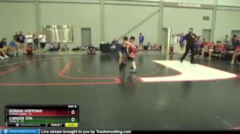 106 lbs Quarterfinals (8 Team) - Dorian Hoffman, Pennsylvania vs Carson Ota, Texas B