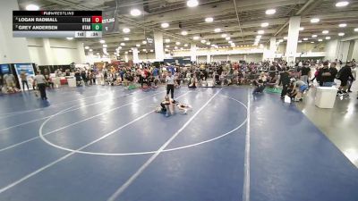49 lbs Semis - Logan Radmall, Utah vs Grey Andersen, Utah