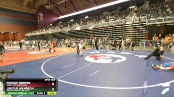 63 lbs Champ. Round 2 - Dominic Brower, Windy City Wrestlers vs Lincoln Wilkinson, Douglas Wrestling Club