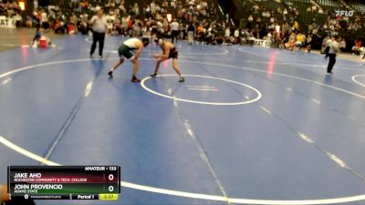 133 lbs Quarterfinal - Jake Aho, Rochester Community & Tech. College vs John Provencio, Adams State