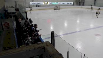 Replay: Home - 2025 PMHA vs ISA | Jan 18 @ 4 PM