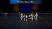 Planet Dance Tiny Pom Allstars [2023 Tiny - Pom Day 2] 2023 UDA National Dance Team Championship
