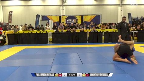 John Anthony Venturini JR vs William Prime Hall 2024 World IBJJF Jiu-Jitsu No-Gi Championship