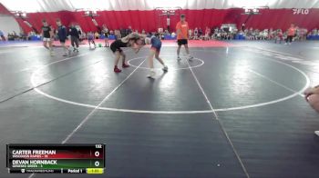 132 lbs Semis & Wb (16 Team) - Devan Hornback, Geneseo Green vs Carter Freeman, Wisconsin Rapids