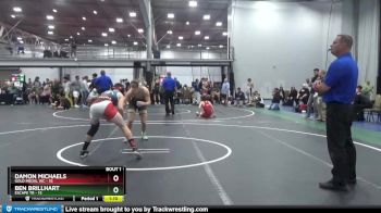 138 lbs Finals (2 Team) - Damon Michaels, Gold Medal WC vs Ben Brillhart, Escape TR