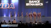 Dance Dynamics - Youth Elite Pink Large Lyrical [2026 Youth - Premier - Contemporary/Lyrical - Large] 2026 NDA All-Star National Championship