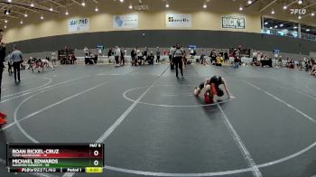 76 lbs Quarterfinal - Roan Rickel-Cruz, Team Aggression vs Michael Edwards, Hanover Hawkeye