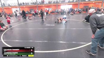 65 lbs Round 1 - Calhoun Tannery, JET vs Cameron Parris, Ninety Six Wrestling