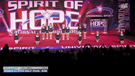 Brandon All-Stars Wesley Chapel - Bliss [2026 L3 Junior - Flex - Small Day 2] 2026 Spirit of Hope Grand Nationals