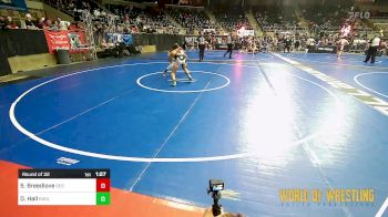 125 lbs Round Of 32 - Sean Breedlove, Red Cobra Westling Academy vs Davian Hall, Englewood Live Wire