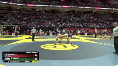 D1-165 lbs Champ. Round 1 - Carson Mize, Marysville vs Isaiah Schlegel, Whitmer