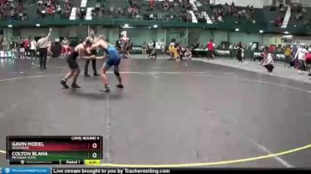165 lbs Cons. Round 4 - Colton Blaha, Michigan State vs Gavin Model, Wisconsin