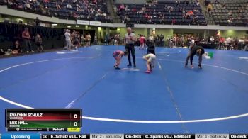 45 lbs Round 3 - Evalynn Schulz, Wisconsin vs Lux Hall, DC Elite