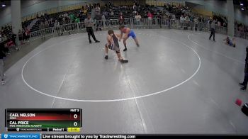 138 lbs Cons. Round 4 - Cal Price, MWC Wrestling Academy vs Cael Nelson, Iowa