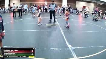 49 lbs Round 2 (8 Team) - Calvin Huhn, Contenders WA Blue vs Dallas Williams, Team Palmetto
