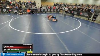 132 lbs Quarterfinal - Cadyn Wild, IA vs William Anderson, AL