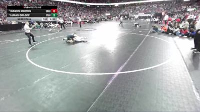 D3-126 lbs Semifinal - Mason Dewing, Crandon vs Lukas Orloff, Pecatonica/Argyle