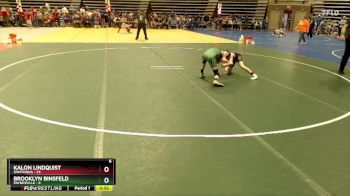 80 lbs Quarterfinals (8 Team) - Brooklyn Binsfeld, Paynesville vs Kalon Lindquist, Owatonna