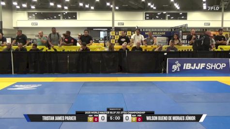 Horlando De Jesus Monteiro vs Wilson Bueno De Moraes Júnior 2025 World Master IBJJF Jiu-Jitsu Championship