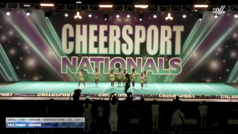 T.E.K. Cheer - Grapes [2026 L1 Tiny - Novice - Restrictions - D2 Day 1] 2026 CHEERSPORT National All Star Cheerleading Championship