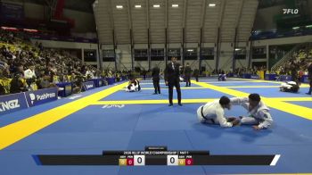 Johnny Tama vs Matheus Gabriel 2026 World Jiu-Jitsu IBJJF Championship