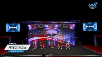 Pro Scouts Pharr - Mini Mermaids [2023 L2 Mini - D2 Day 2] 2023 ACP Southern Nationals