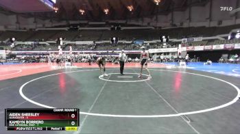126 lbs Champ Round 1 (16 Team) - Kamdyn Borrero, Erie Cathedral Prep vs Aiden Sheesley, Gloucester