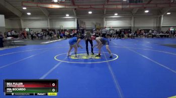 125 lbs Champ. Round 2 - Mia Bocardo, CLYDE vs Bea Fuller, OLENTANGY ORANGE