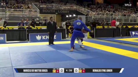 Reinaldo Eyng Junior vs Marcelo De Mattos Souza 2025 Pan Jiu Jitsu IBJJF Championship