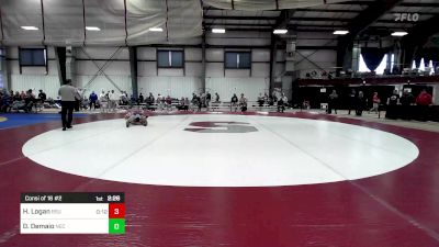 165 lbs Consi Of 16 #2 - Hunter Logan, Bridgewater vs Dominic Demaio, New England College