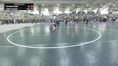 50 lbs Champ. Round 1 - Avett Collett, Joelton Wrestling Club vs Hayden Horne, TN Wrestling Academy