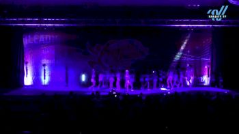 True Allstars - Trinity [2024 L4.2 Senior - D2 - Medium Day 2] 2024 Spirit Cheer Super Nationals