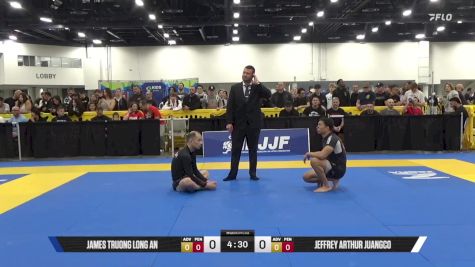 Jeffrey Arthur Juangco vs James Truong Long An 2025 World IBJJF Jiu-Jitsu No-Gi Championship