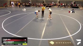 133 Championship Bracket Champ. Round 3 - Tyler Hall, Becker vs Aiden Friedrich, Kasson-Mantorville